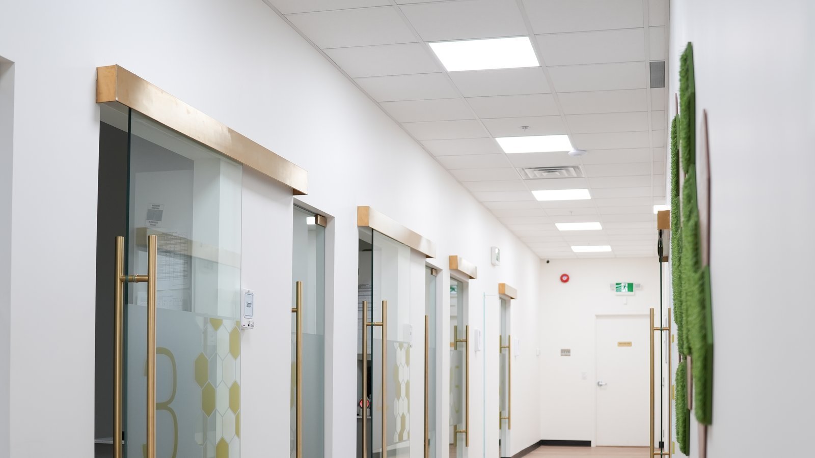 Privacy and information handling at Suncoast